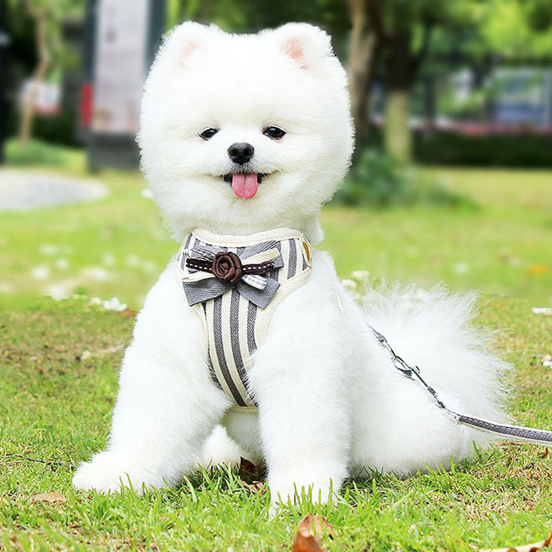 Pet Vest-Style Chest Harness And Leash