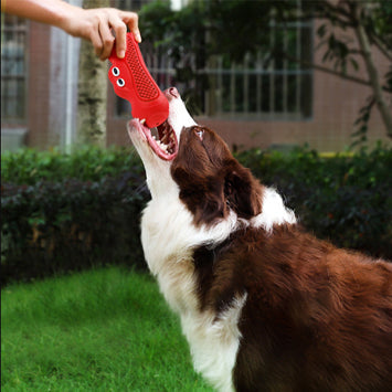 Natural Rubber Pet Chew Toy: The Perfect Companion for Your Furry Friend